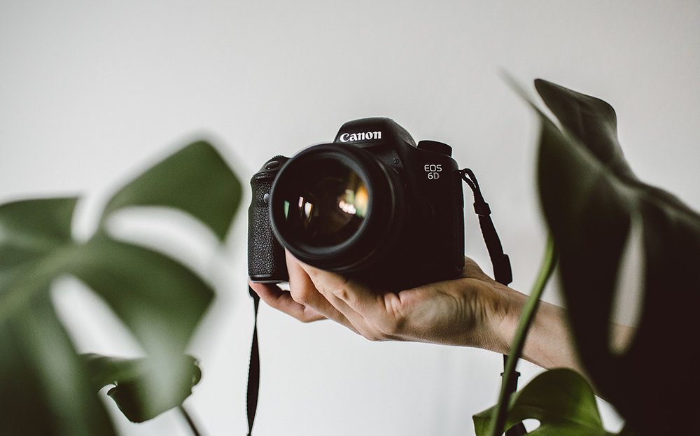 How to Create a Perfect Portfolio To Become a Photographer, career in Photography, Create a portfolio