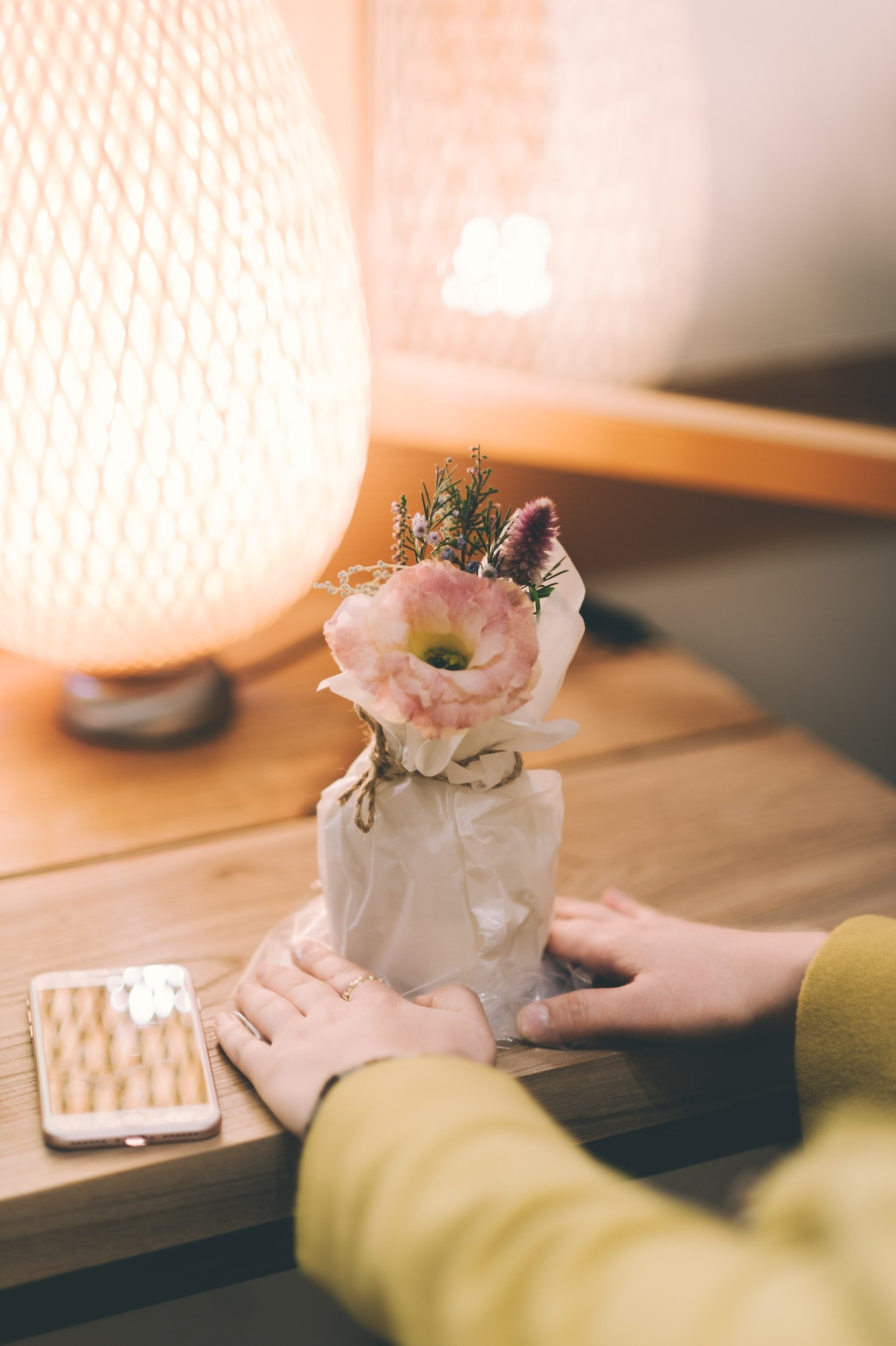 unsplash-image-OZhdQm_OjX4.jpg