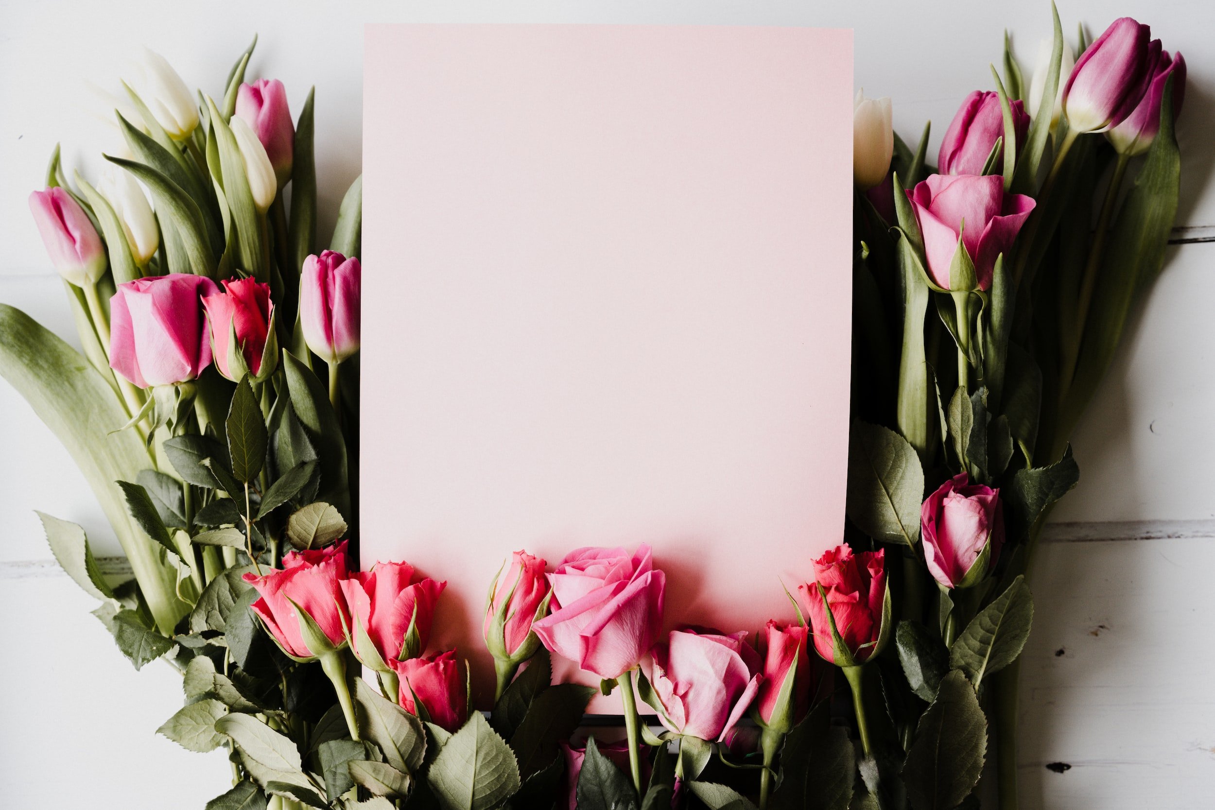 unsplash-image-0ghE4m-Qpns.jpg