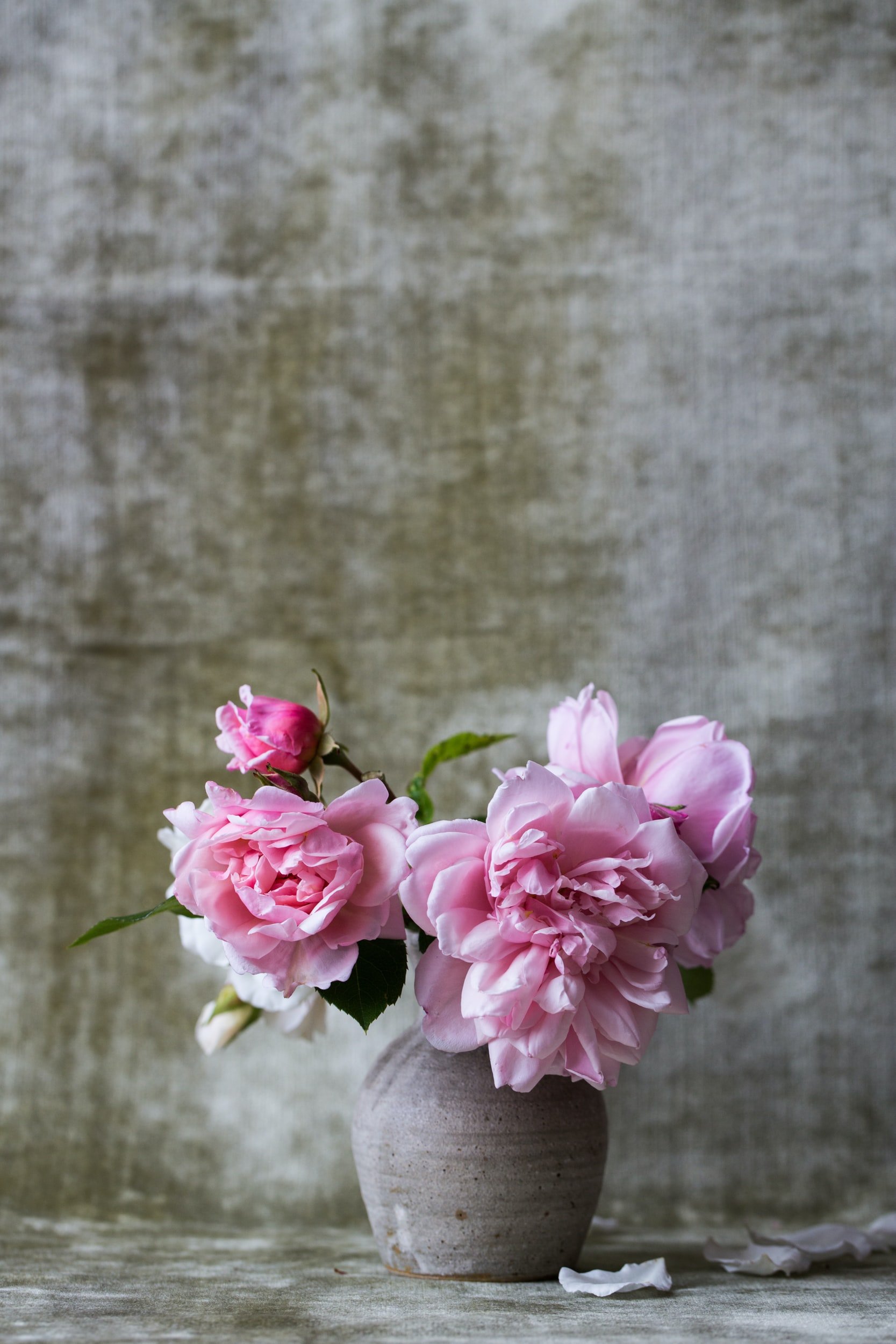 unsplash-image-8dmtbpJJJ7k.jpg