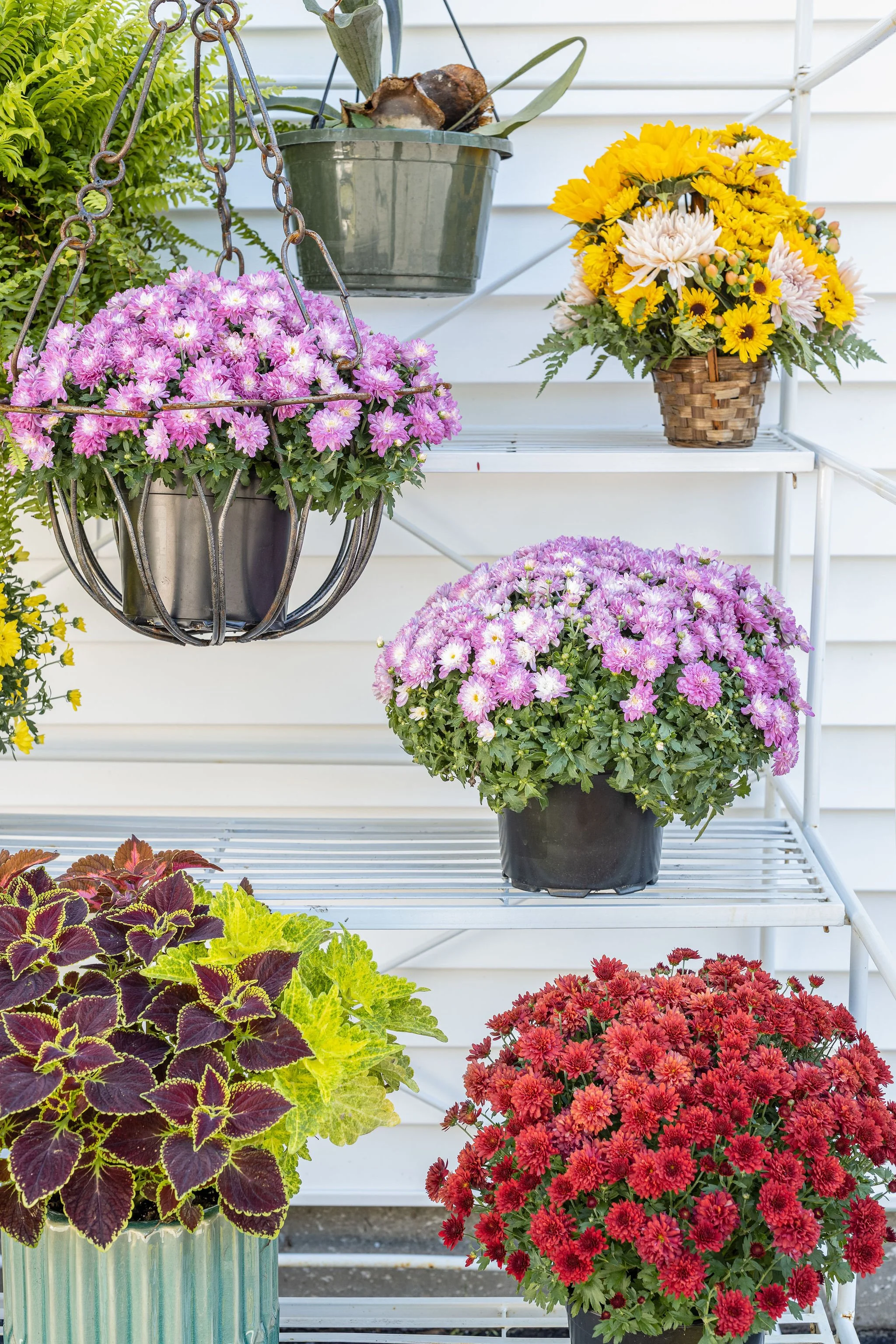 Catskill Mountain Florist