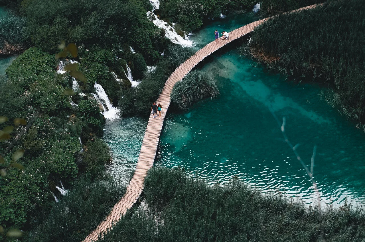 timandfin-105 (1).jpg