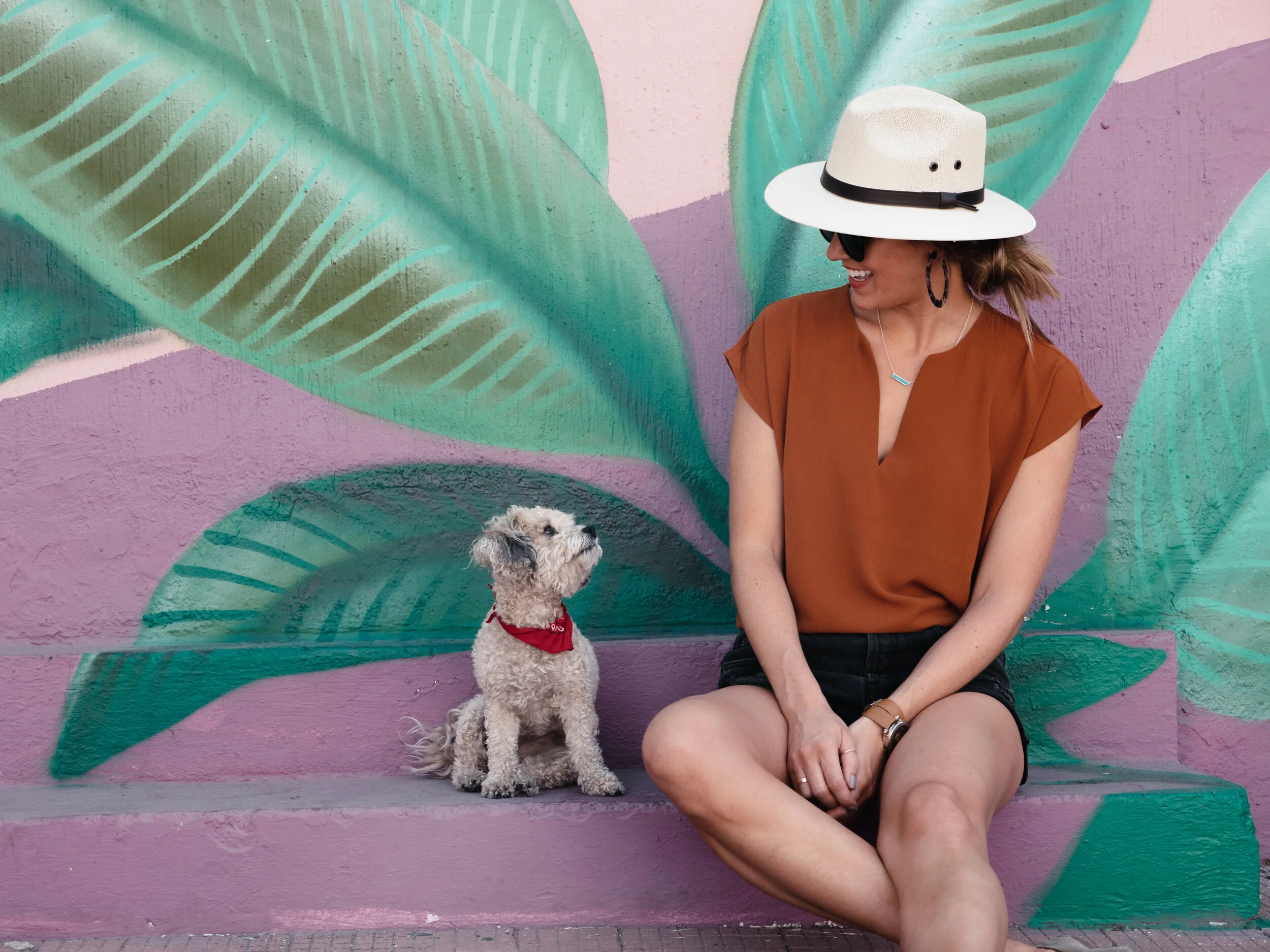 PET TRAVEL