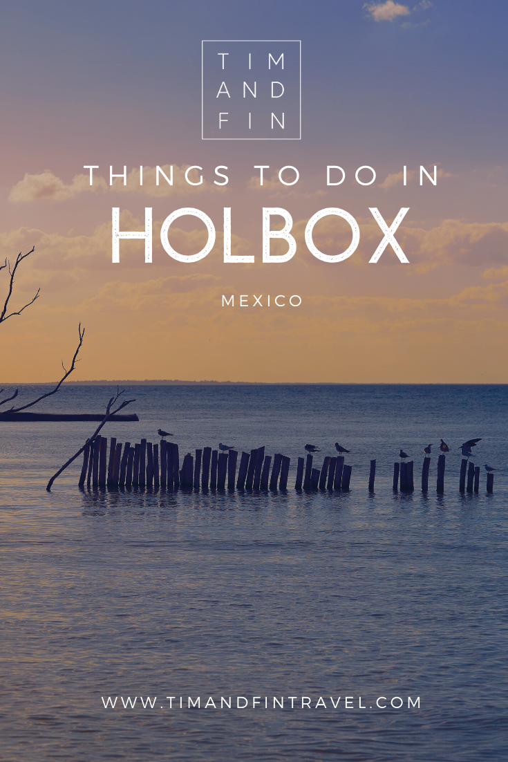 The Most Beautiful Beach in Mexico: Isla Holbox Travel Guide