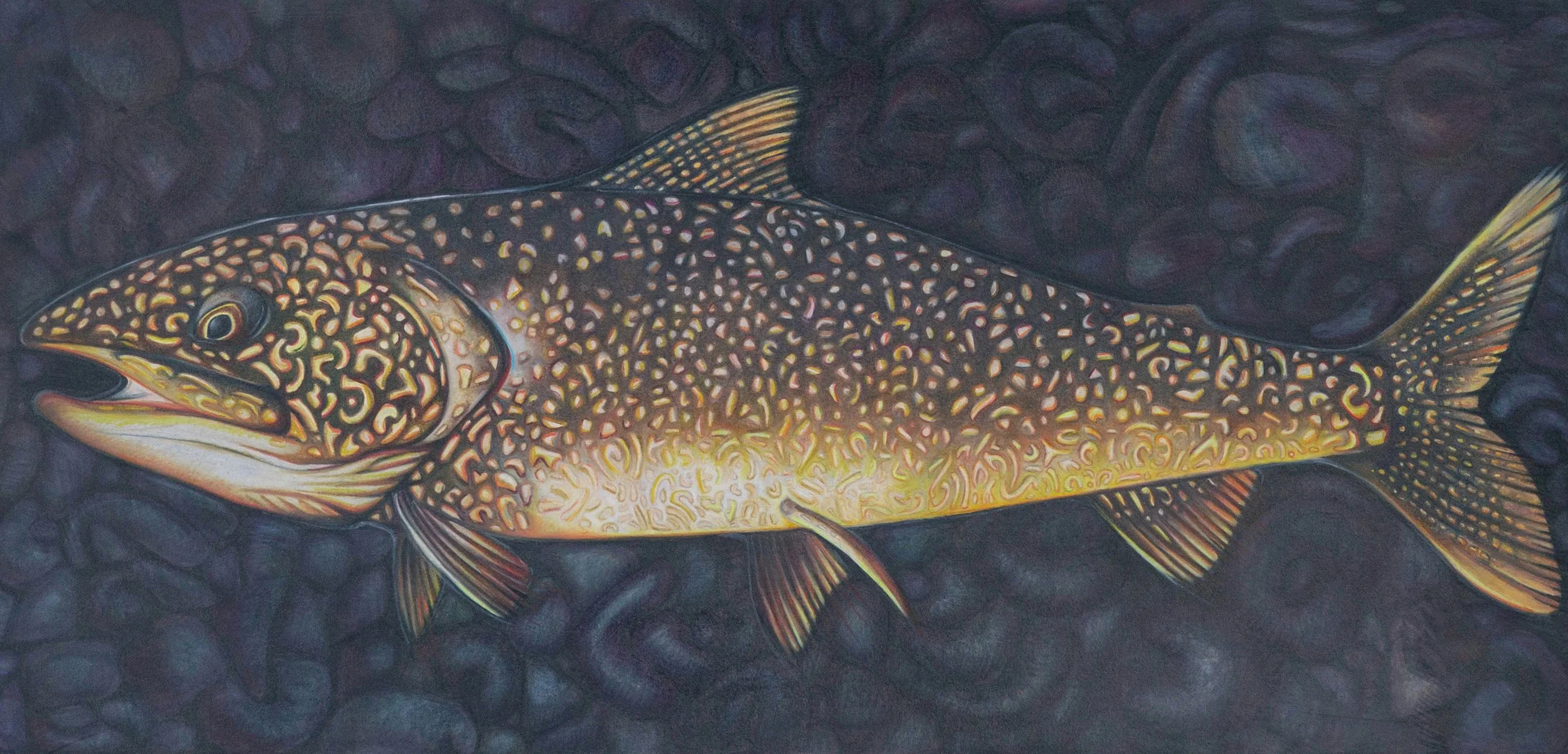 JM-LakeTrout-FIN.jpg