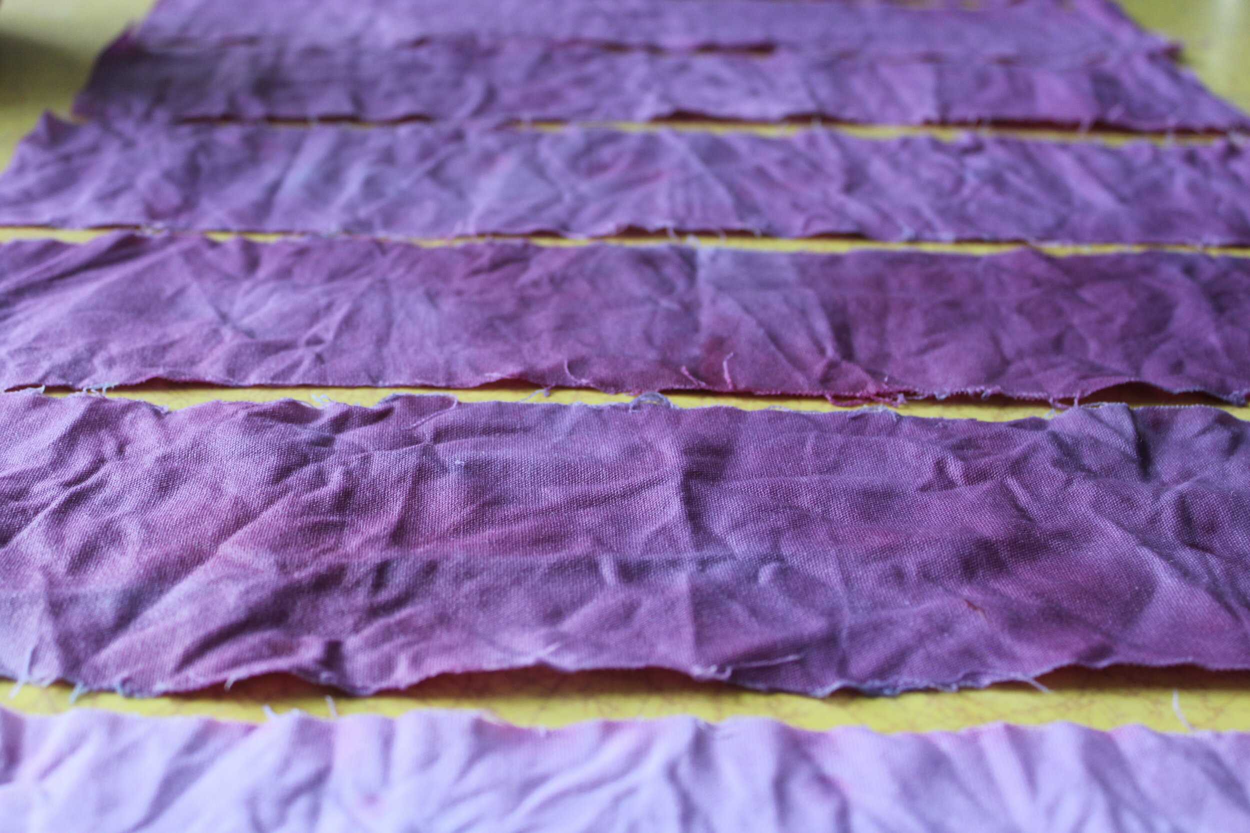 Make Blueberry Dyed Fabric DIY Scrunchies Madison Moore make-blueberry-dyed-fabric-diy-scrunchies-madison-moore