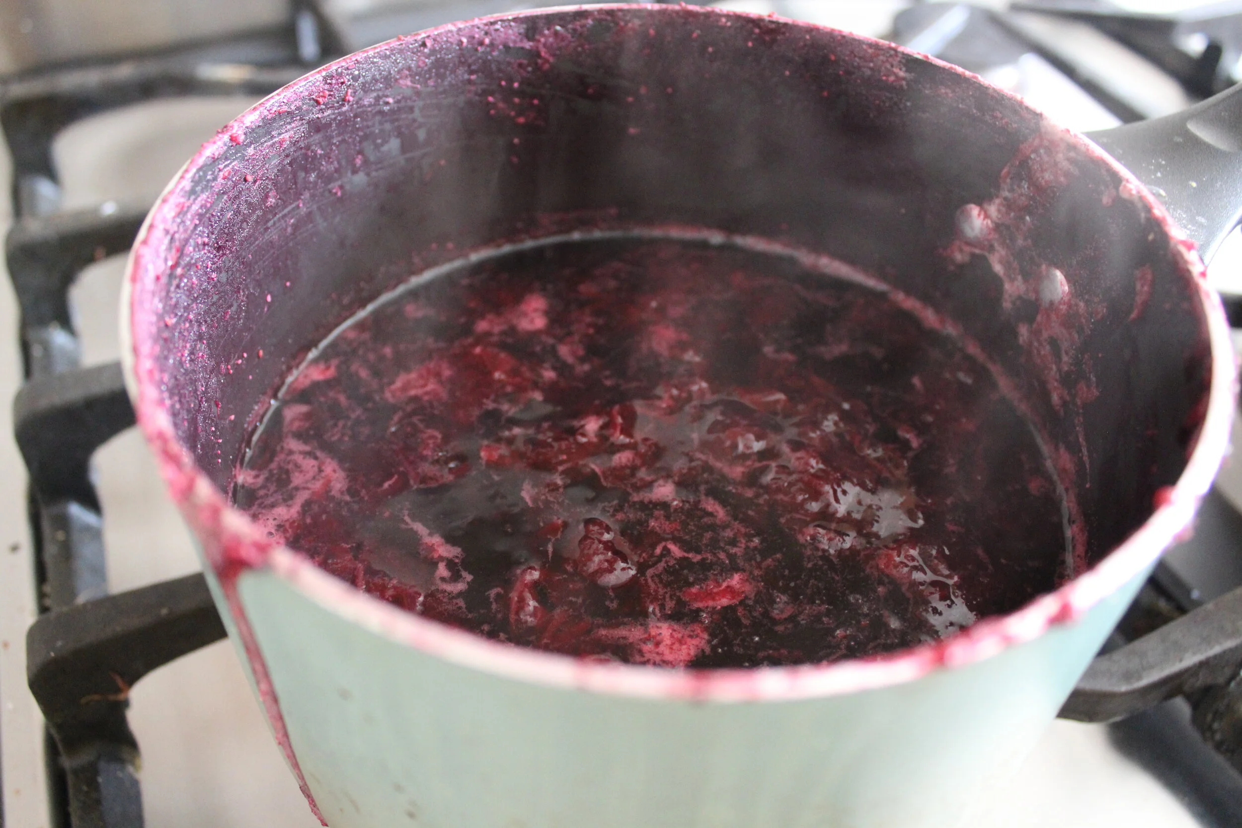 Make Blueberry Dyed Fabric + DIY Scrunchies — Madison Moore