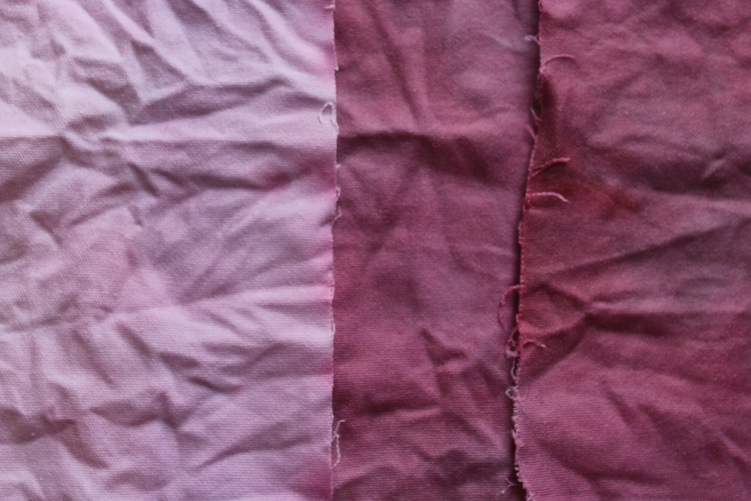 Make Blueberry Dyed Fabric + DIY Scrunchies — Madison Moore