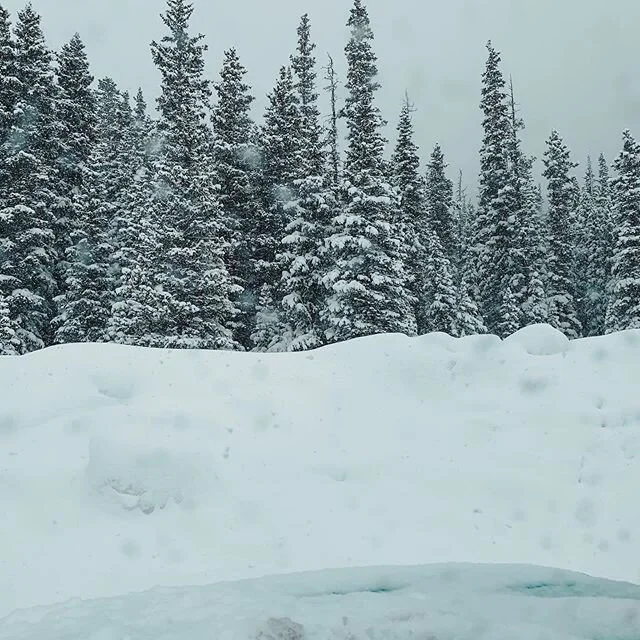 It&rsquo;s just so fluffy!❄️