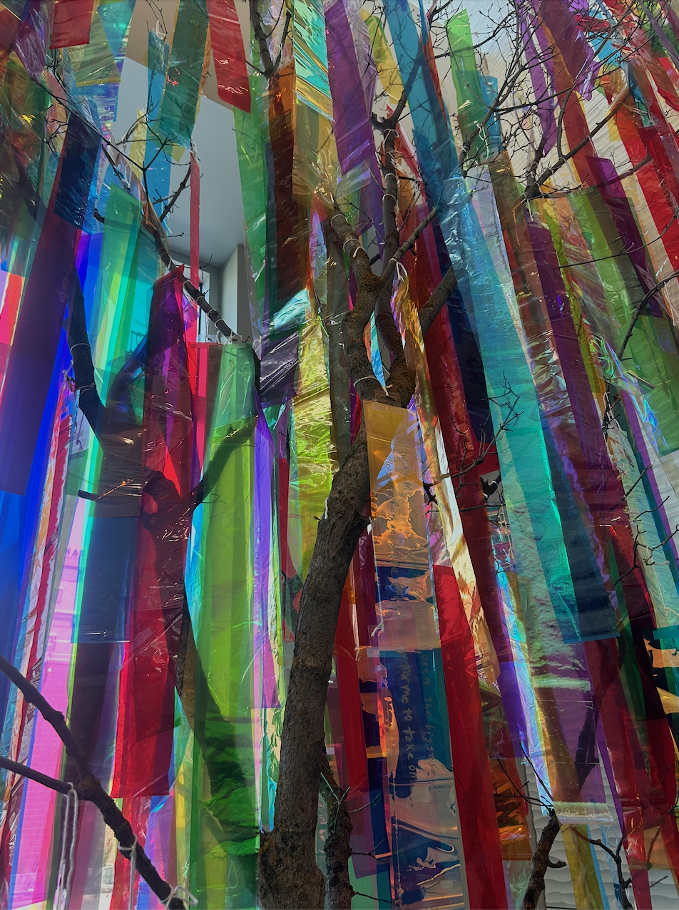 Screenshot 2026-02-26 at 1.20.45 PM.png