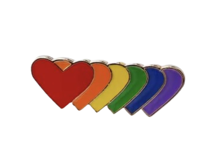 Muiti Colored Hearts Pin