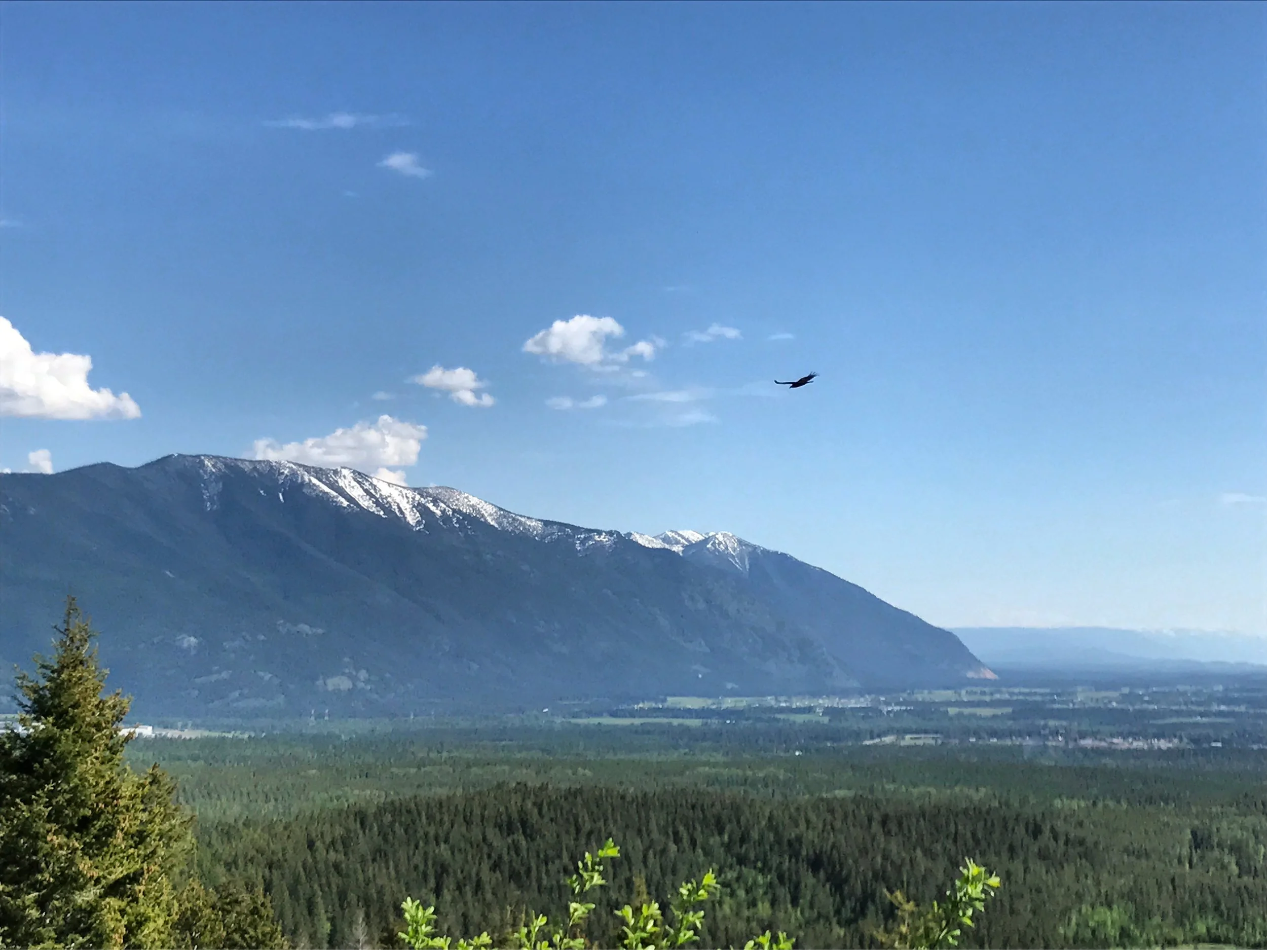 Looking down toward Columbia Falls and the Swan Range over the Cedar Flats area.