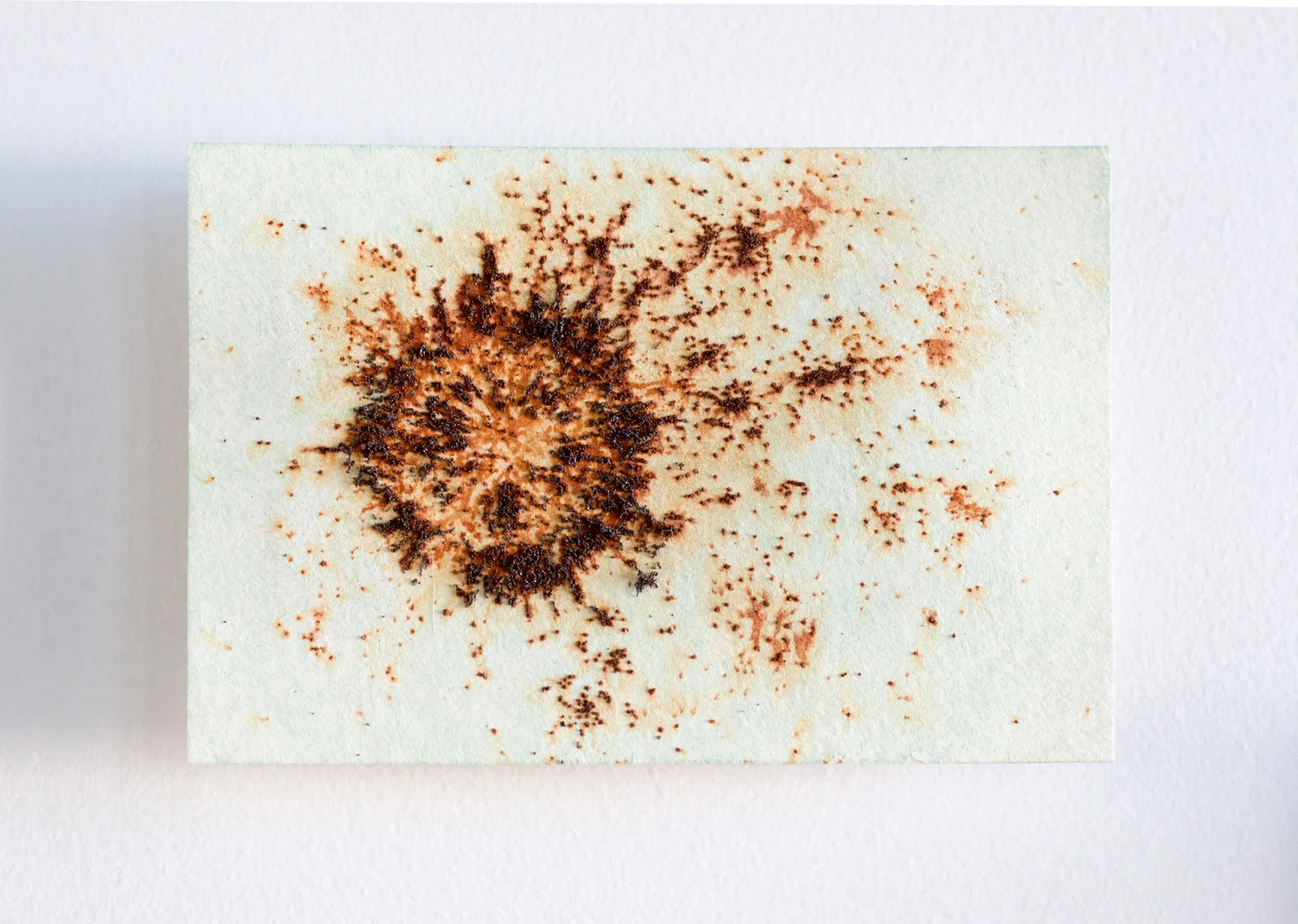   SDY-MF Entropy 1 , 2017. Rust and corrosion on paper. 4” x 6” 