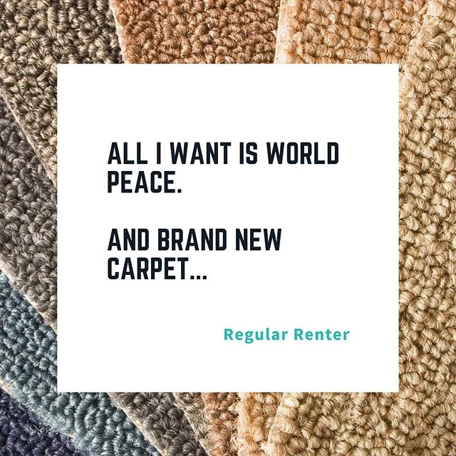 Spruce Society can help make renters dreams come true. #northernbeachesrenovations #buywell #sellwell #rentwell #propertystylistnorthernbeaches