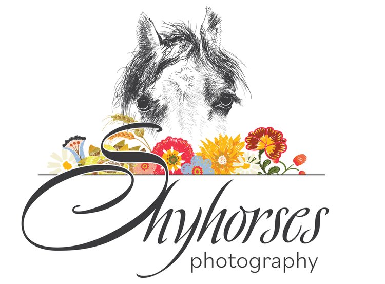 Shyhorses Photography