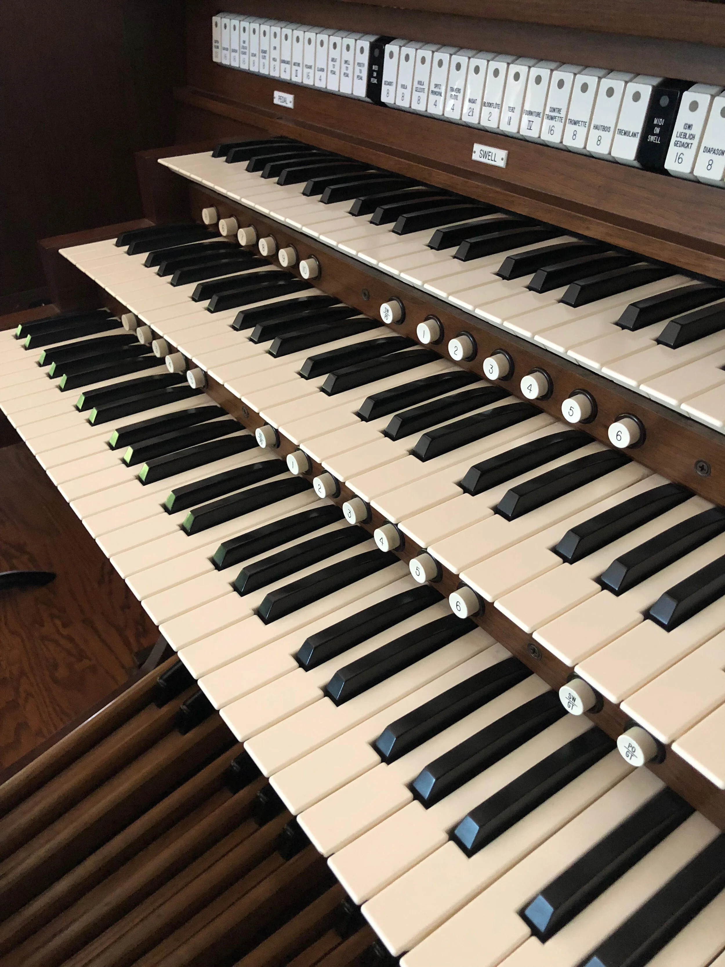 organ.jpg