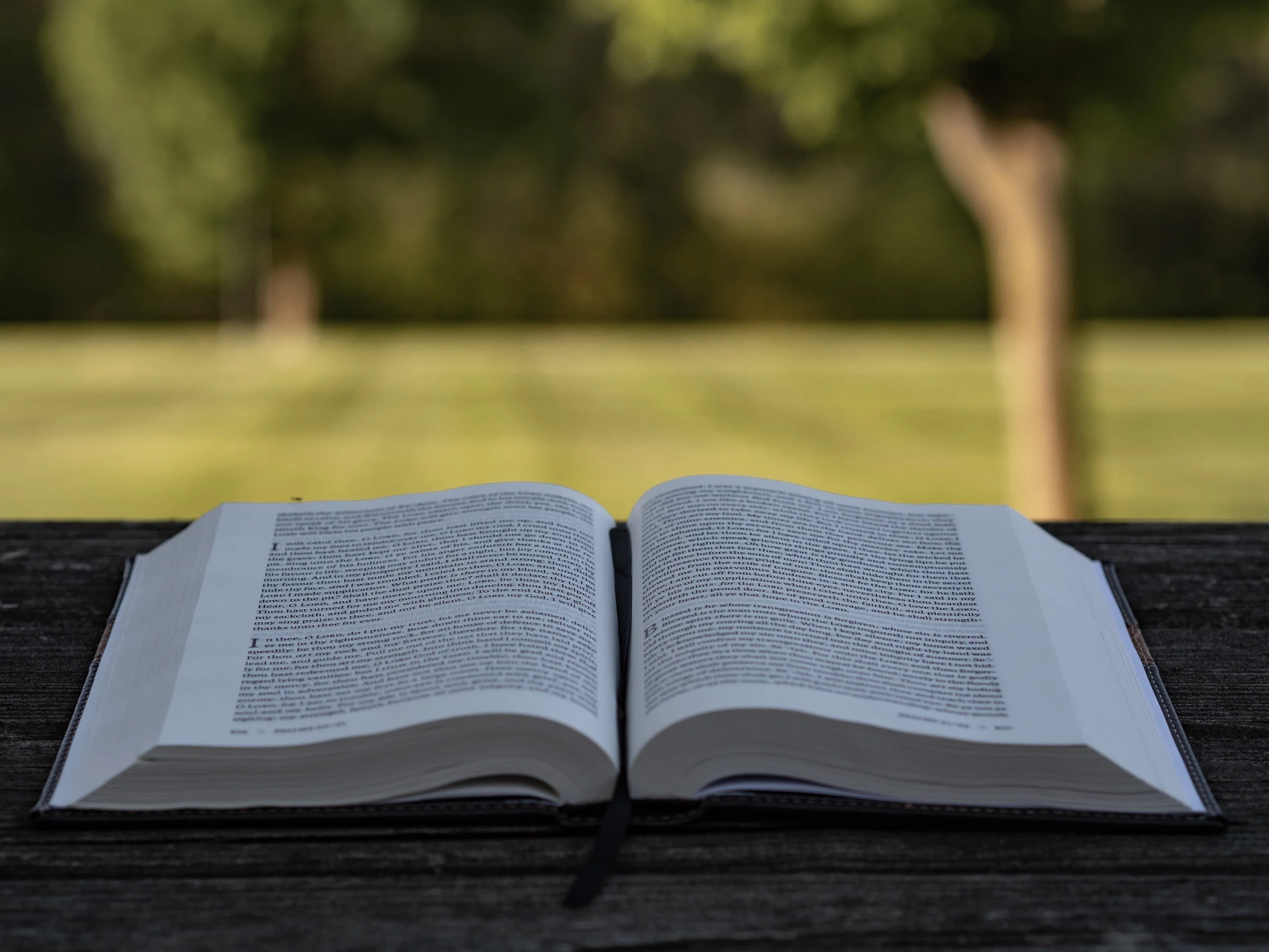 Q&A with Jesus about Fasting