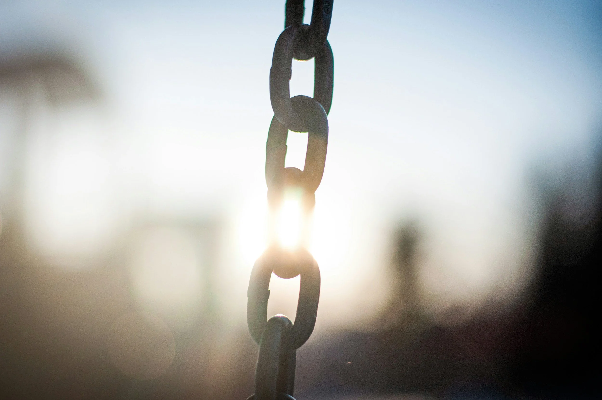 Set Free, Part 1: Break Up Your Fallow Ground