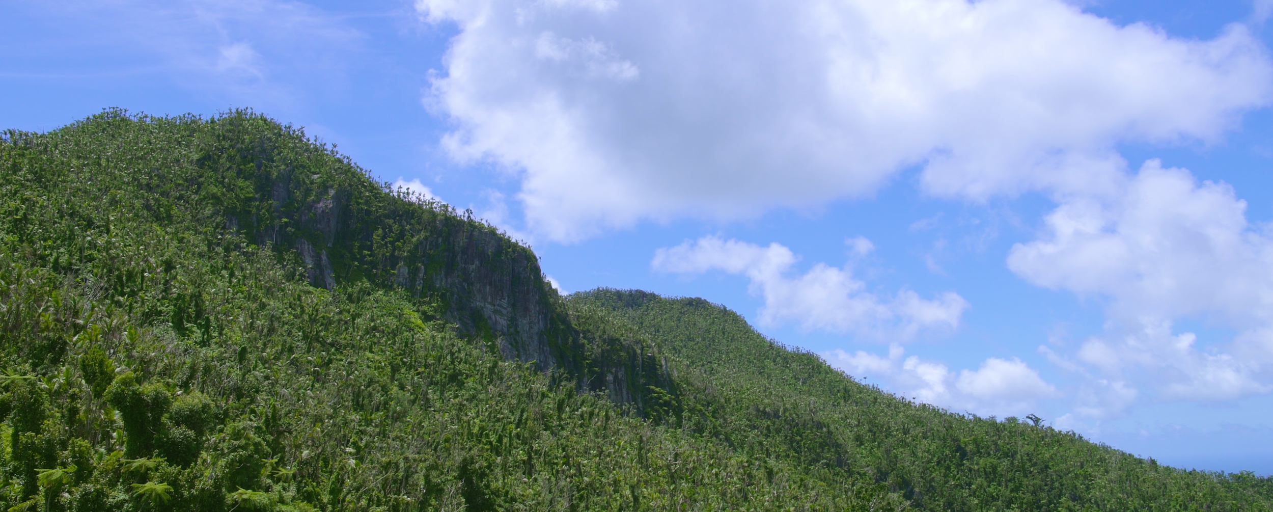 Puerto Rico 10.02.53 PM.PNG