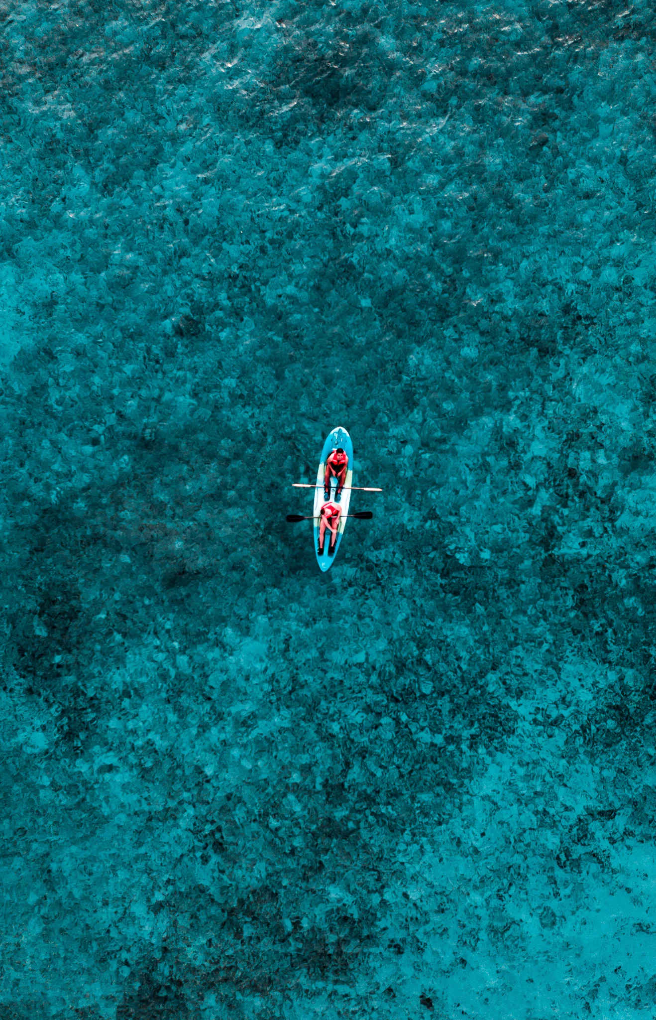 DJI_0718.jpg