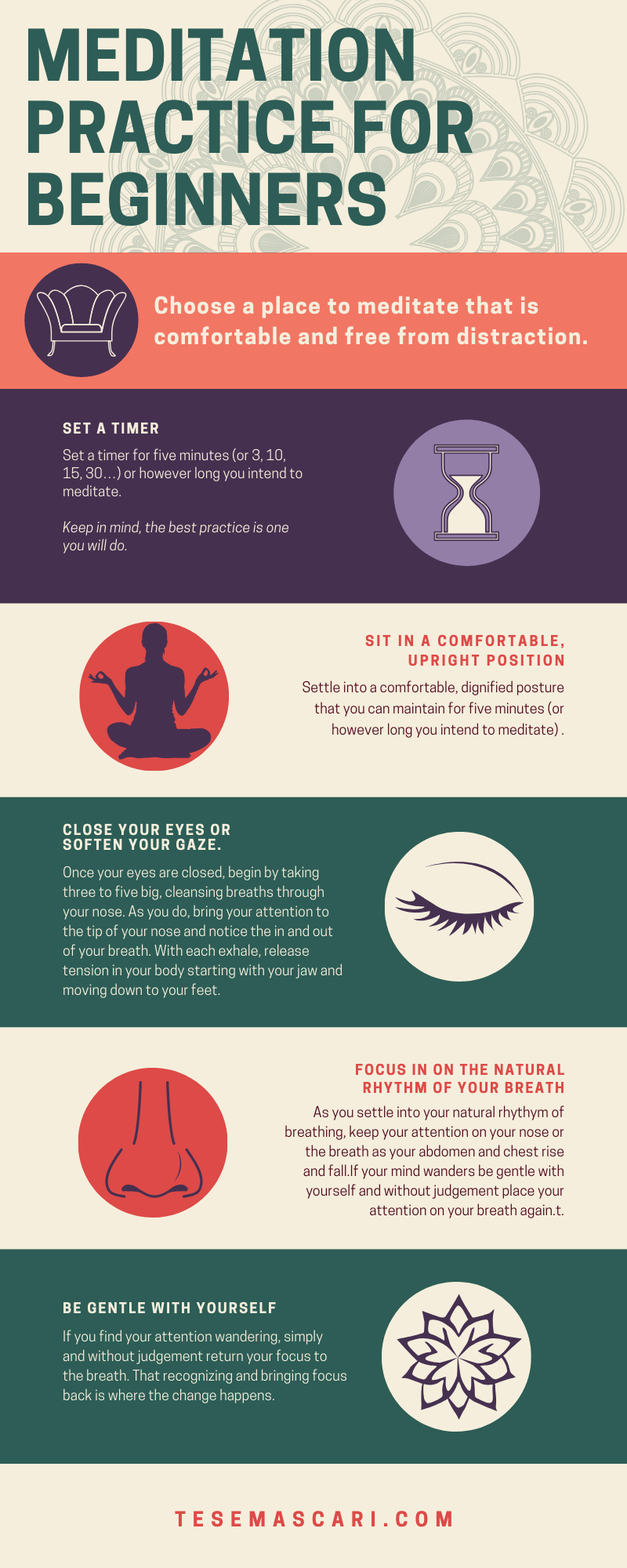 Meditation for Beginners — tese mascari, life coach