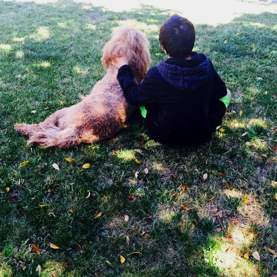 Emotional Regulation is a Doorway