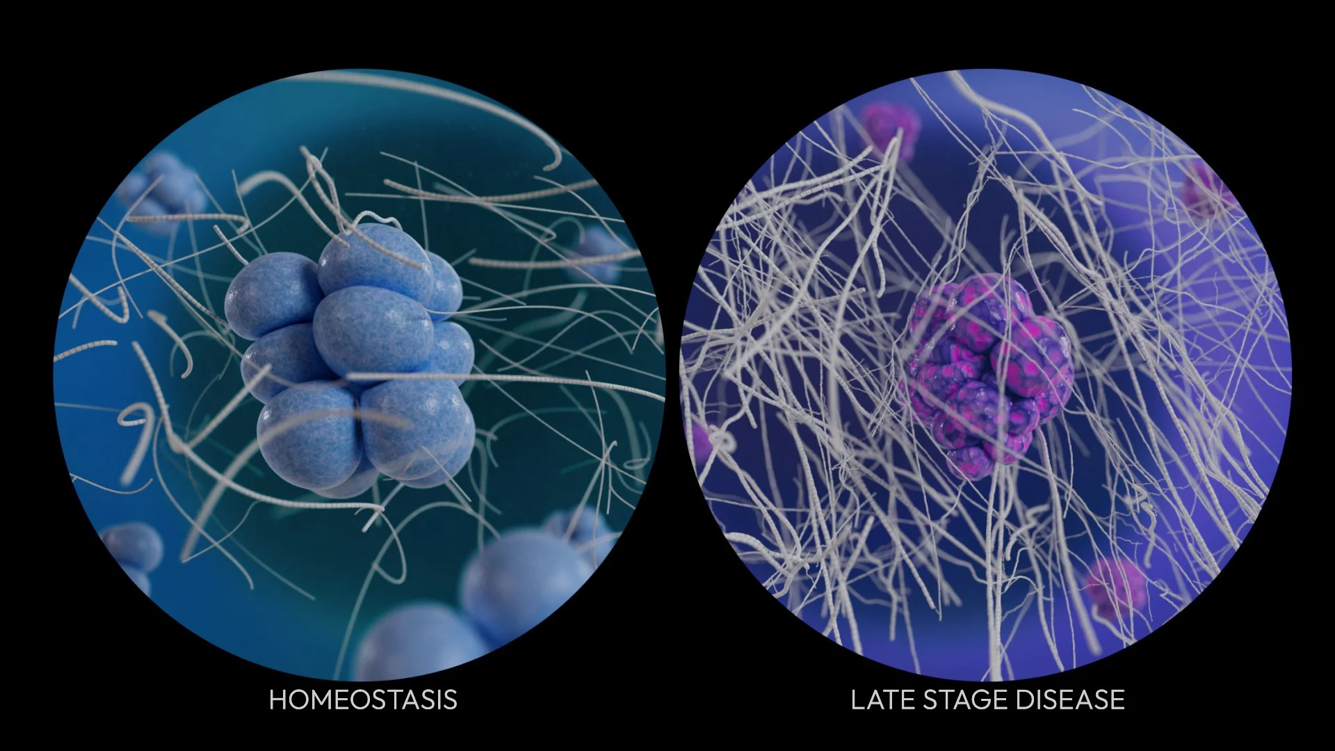 lunaX_edit_v04_HD (01487).jpg