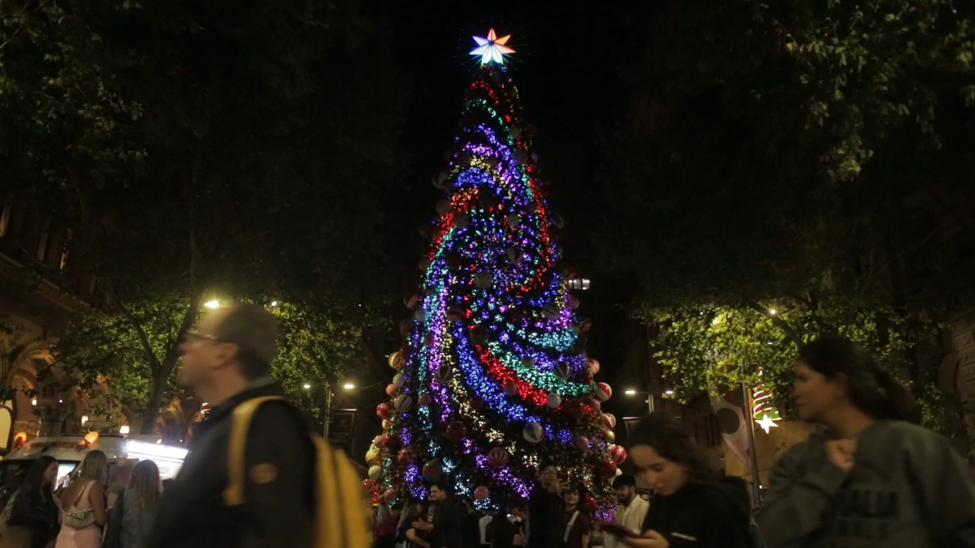 mp_tree_compile (0-01-43-00).jpg