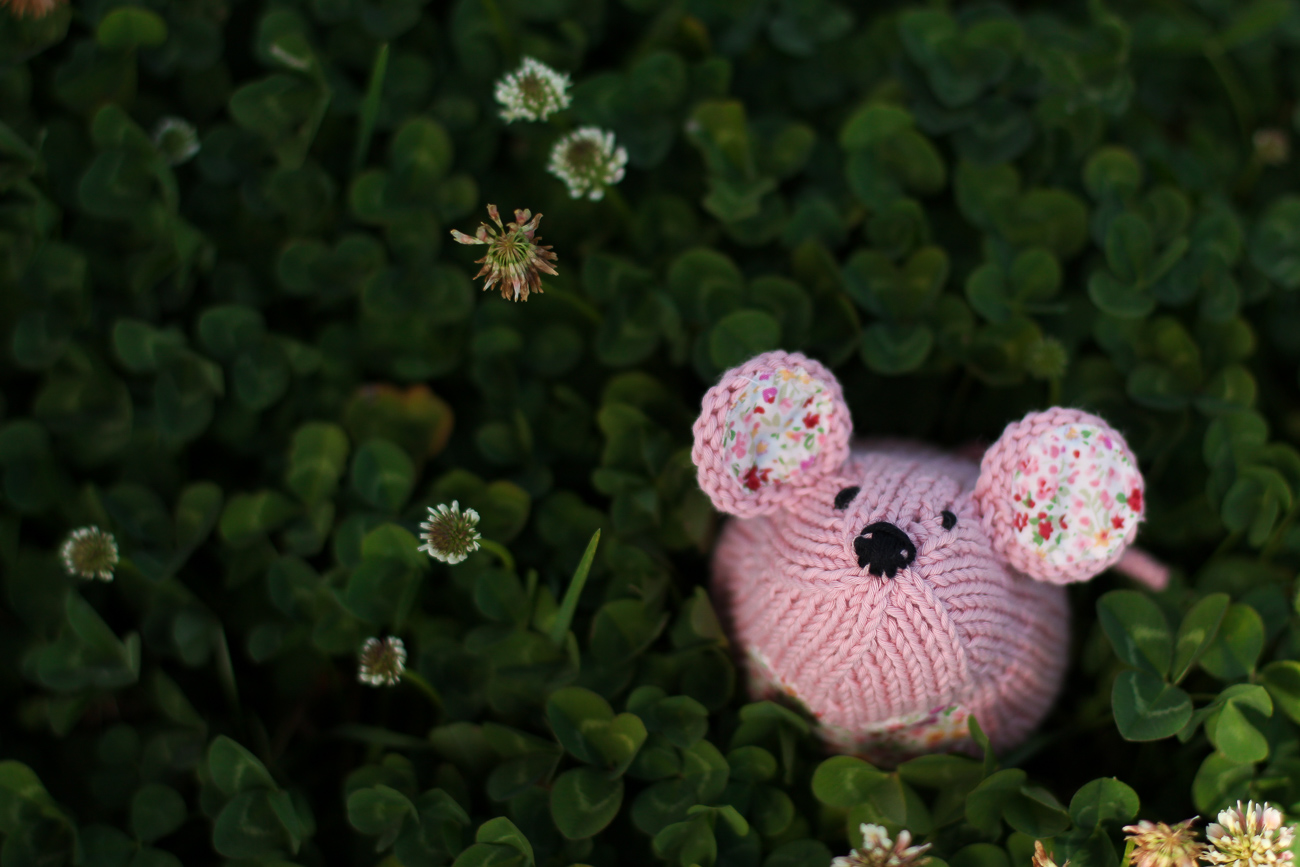 Tea Mice in Clover 7.jpg