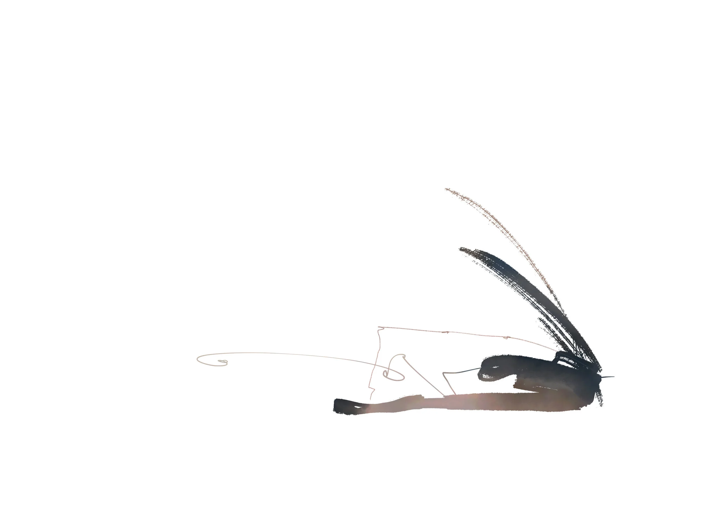 Book banner-191003.jpg