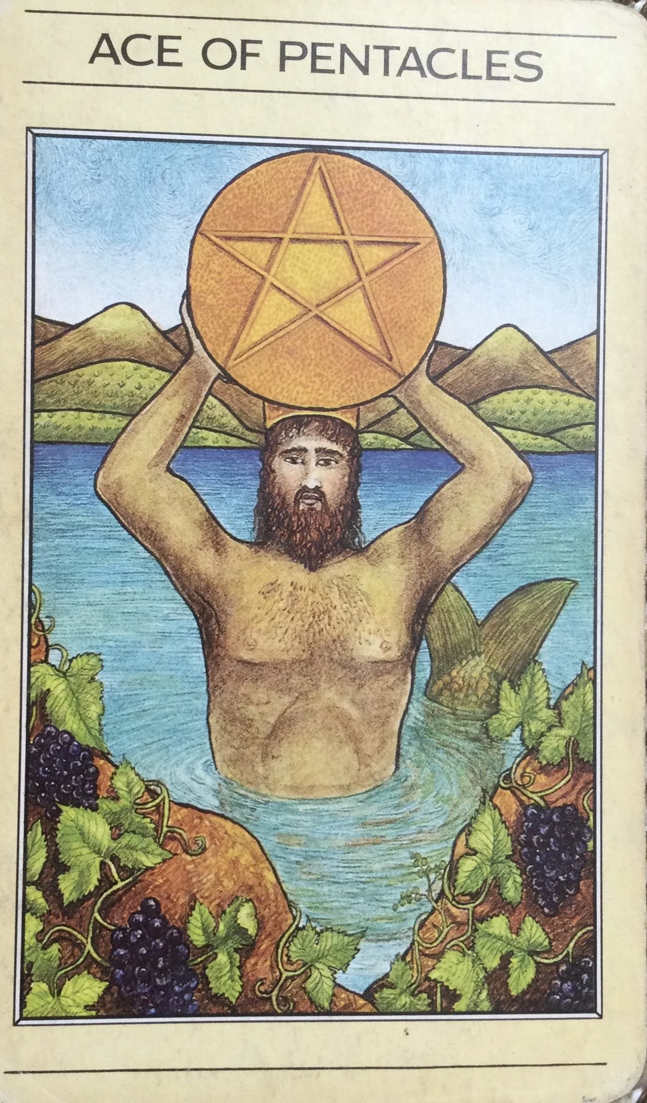 Align with Abundance
