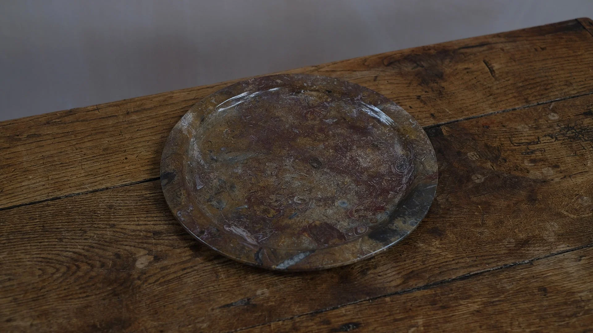 Big-Fossil-Plates-5.jpg