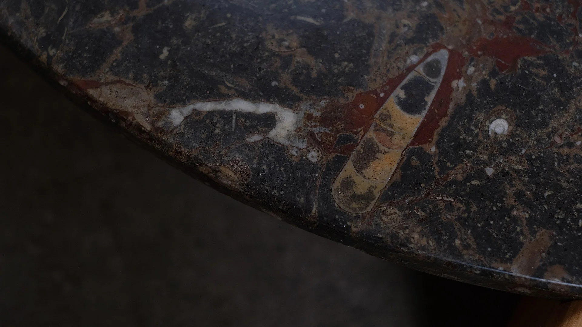 Fossil-Table-13.jpg
