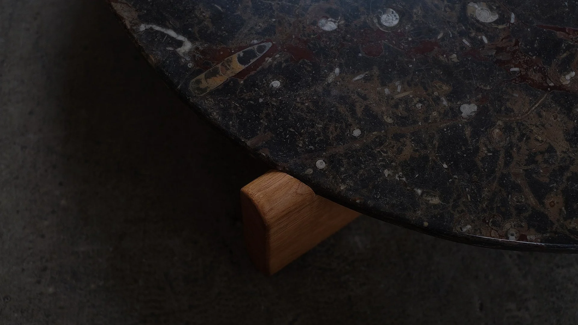 Fossil-Table-7.jpg