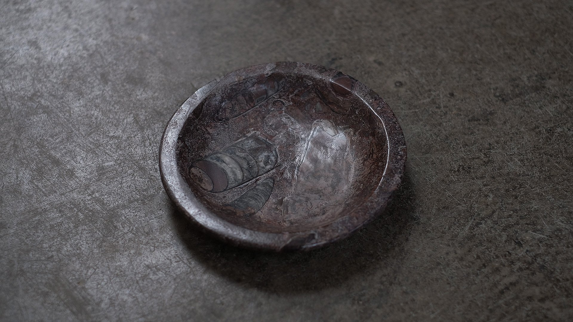 Fossil-small-plates-4.jpg
