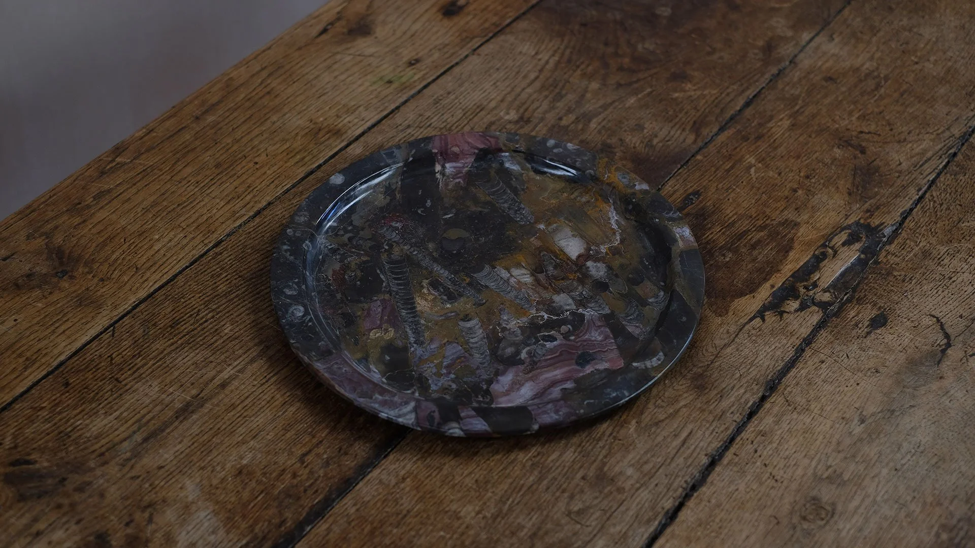 Big-Fossil-Plates-2.jpg