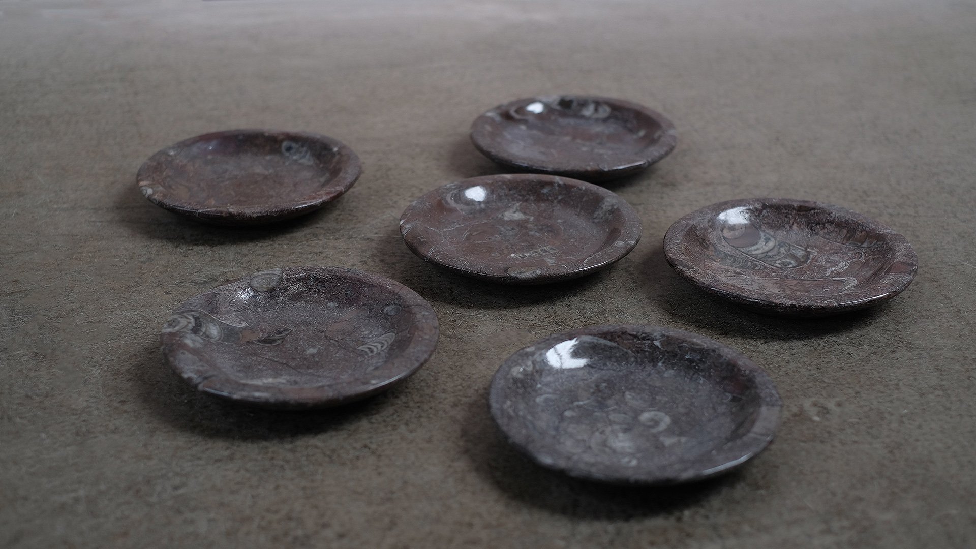 Fossil-small-plates-5.jpg