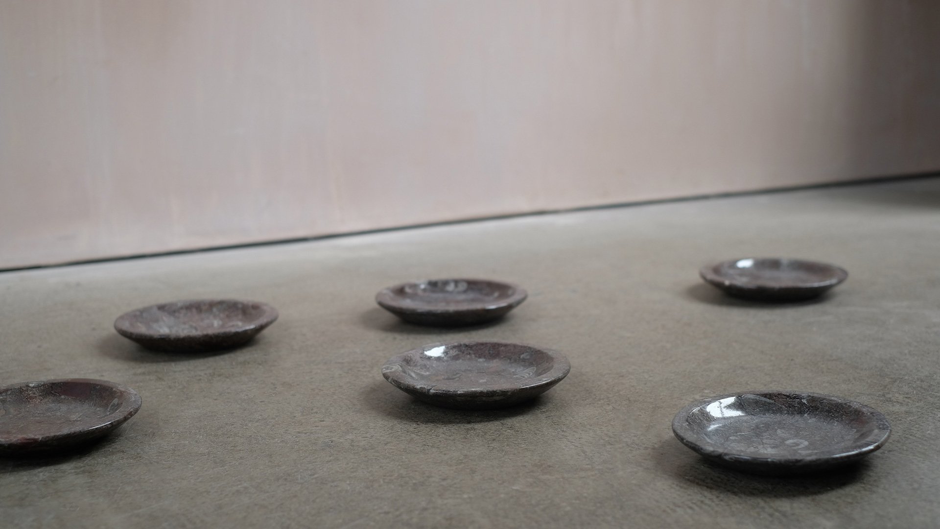 Fossil-small-plates-1.jpg