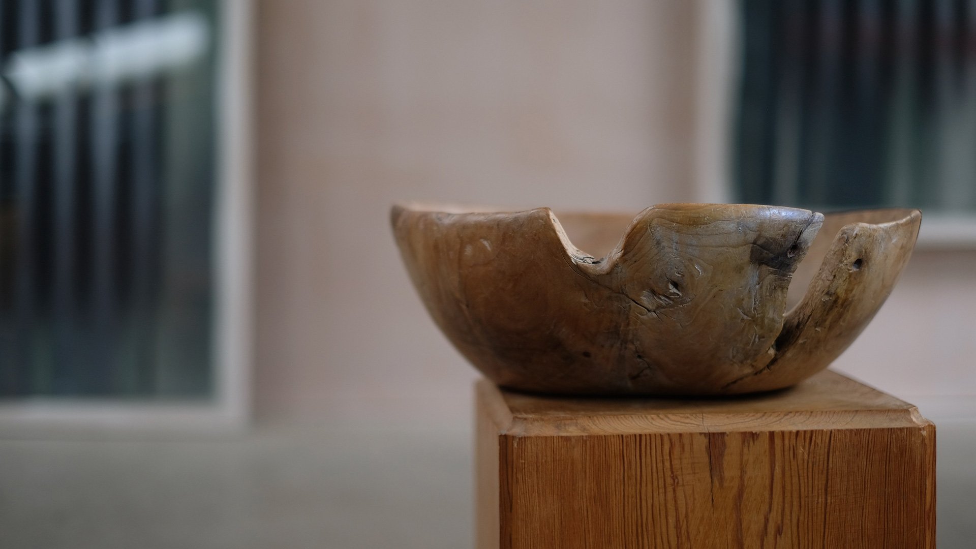 Root-Bowl-Blur-Back.jpg