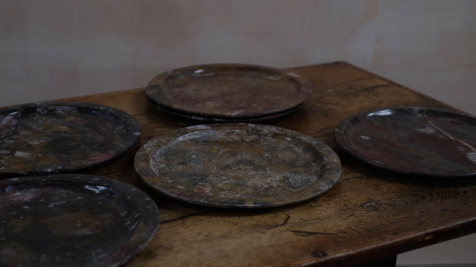 Big-Fossil-Plates-12.jpg