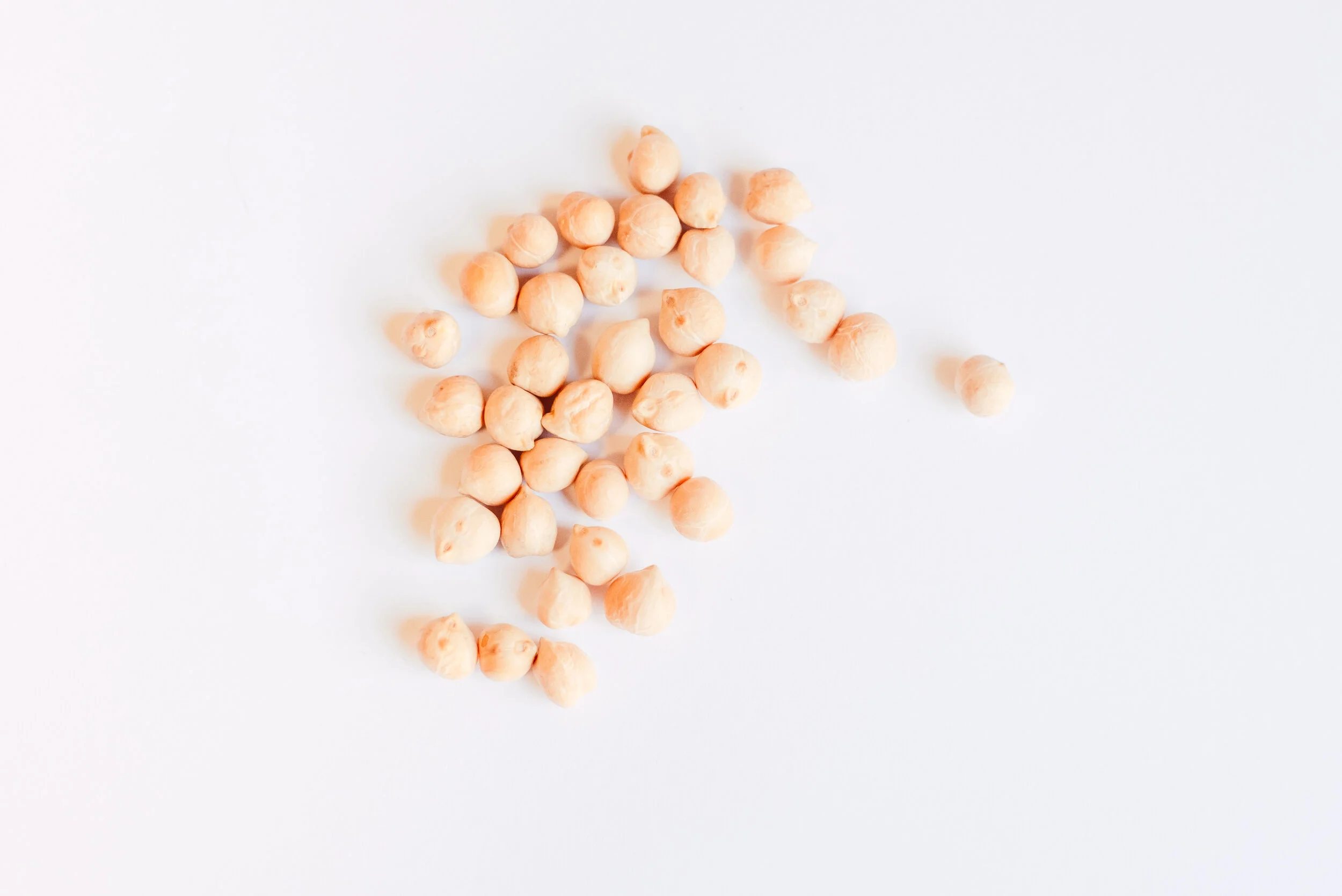 Refilled-Website-Photos-147.jpg