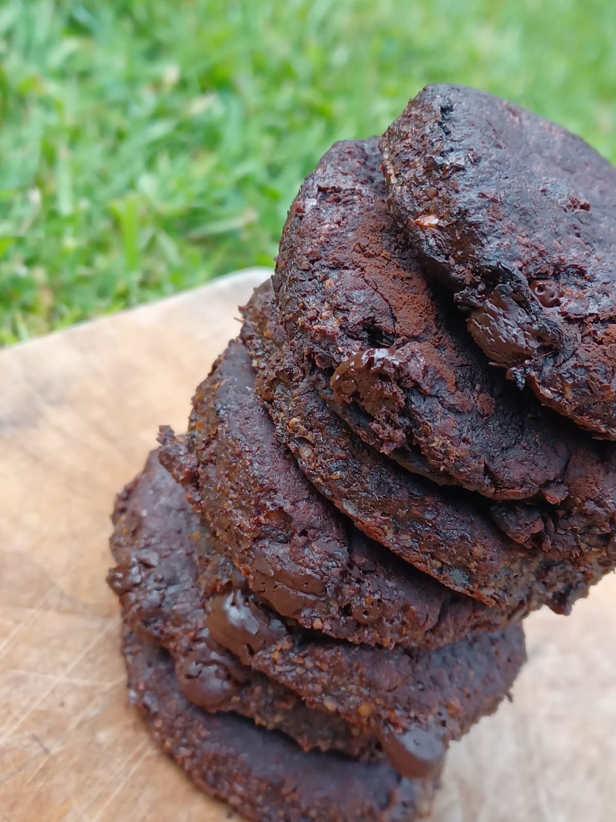 Refill Your Health - Sweet Seeds Workshop