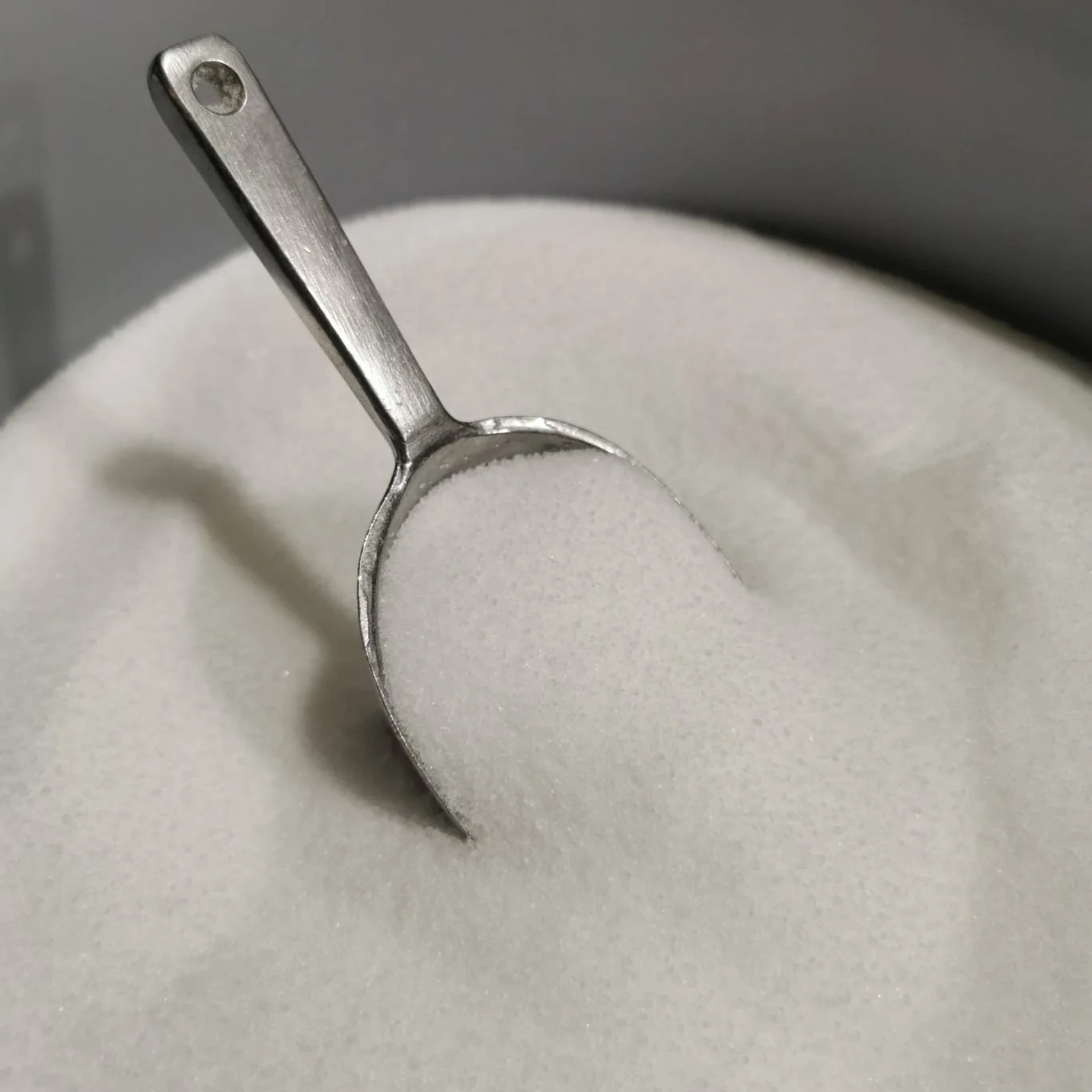 WhatsApp Image 2024-01-10 at 16.45.37-4.jpeg