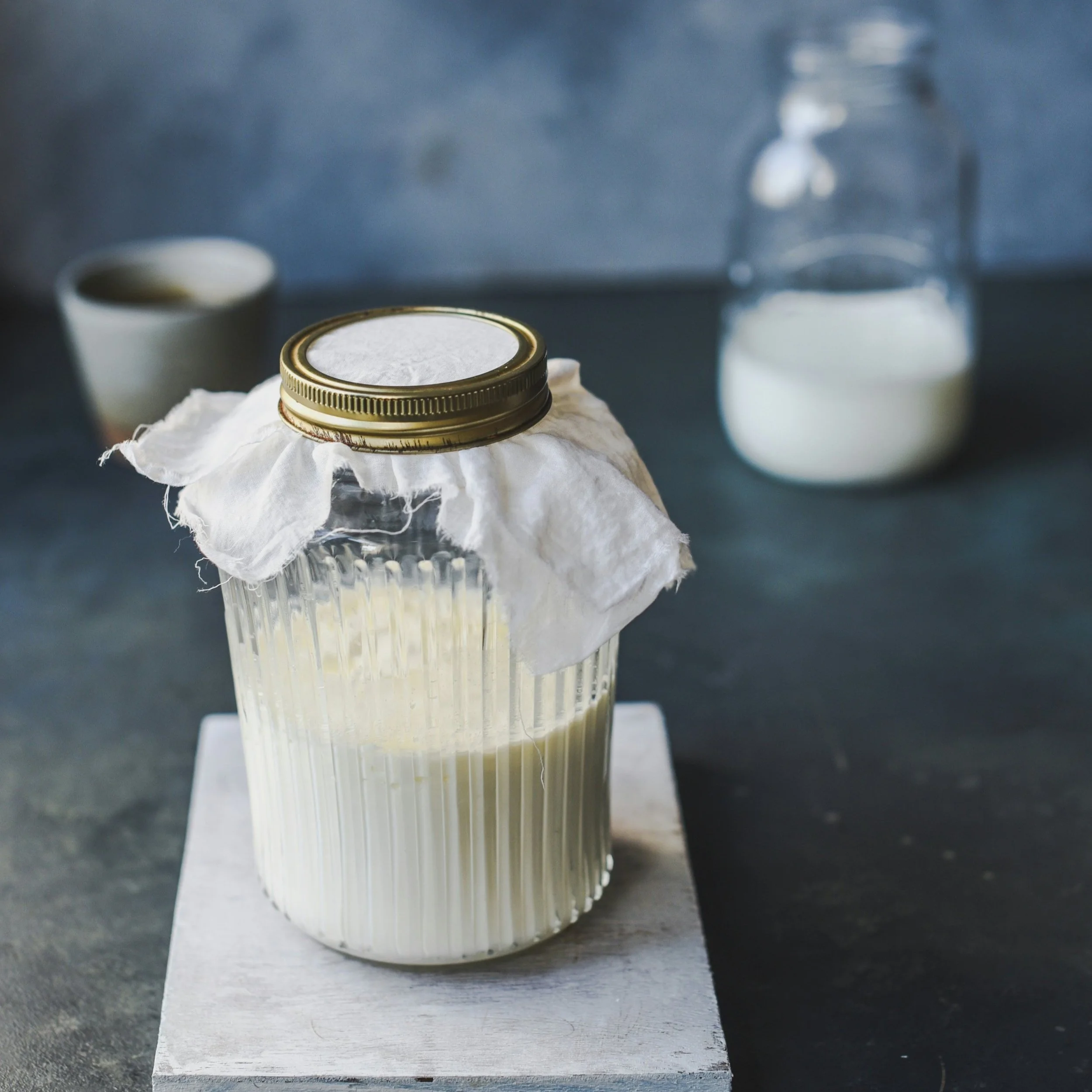 Refill Your Health - Kefir Workshop March 2025