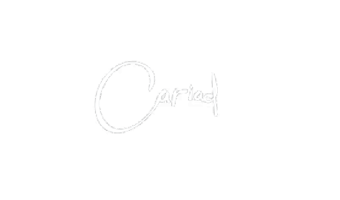 BRAND LOGOS-19.png
