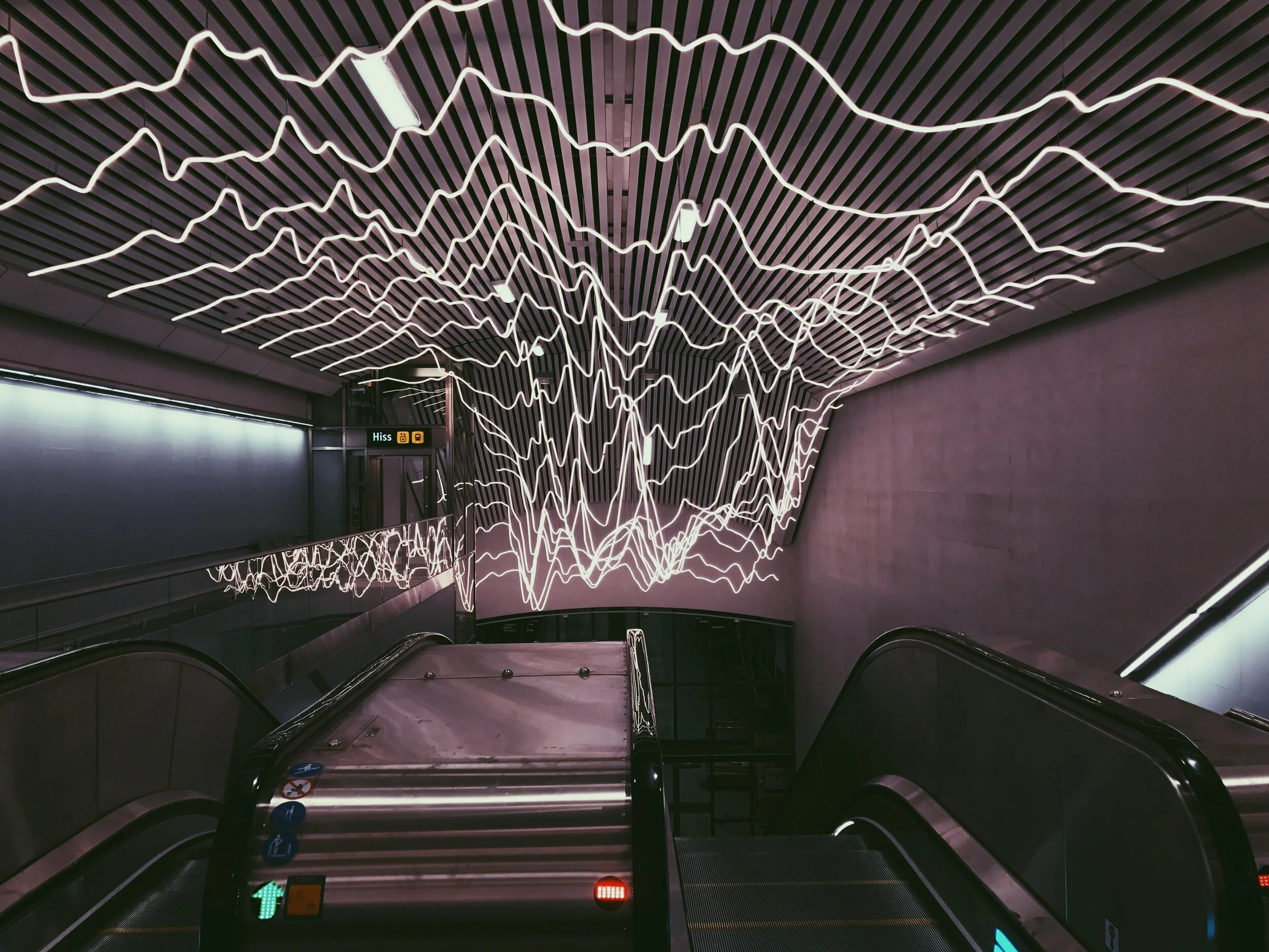 Public Hearing on AI and the Green Deal