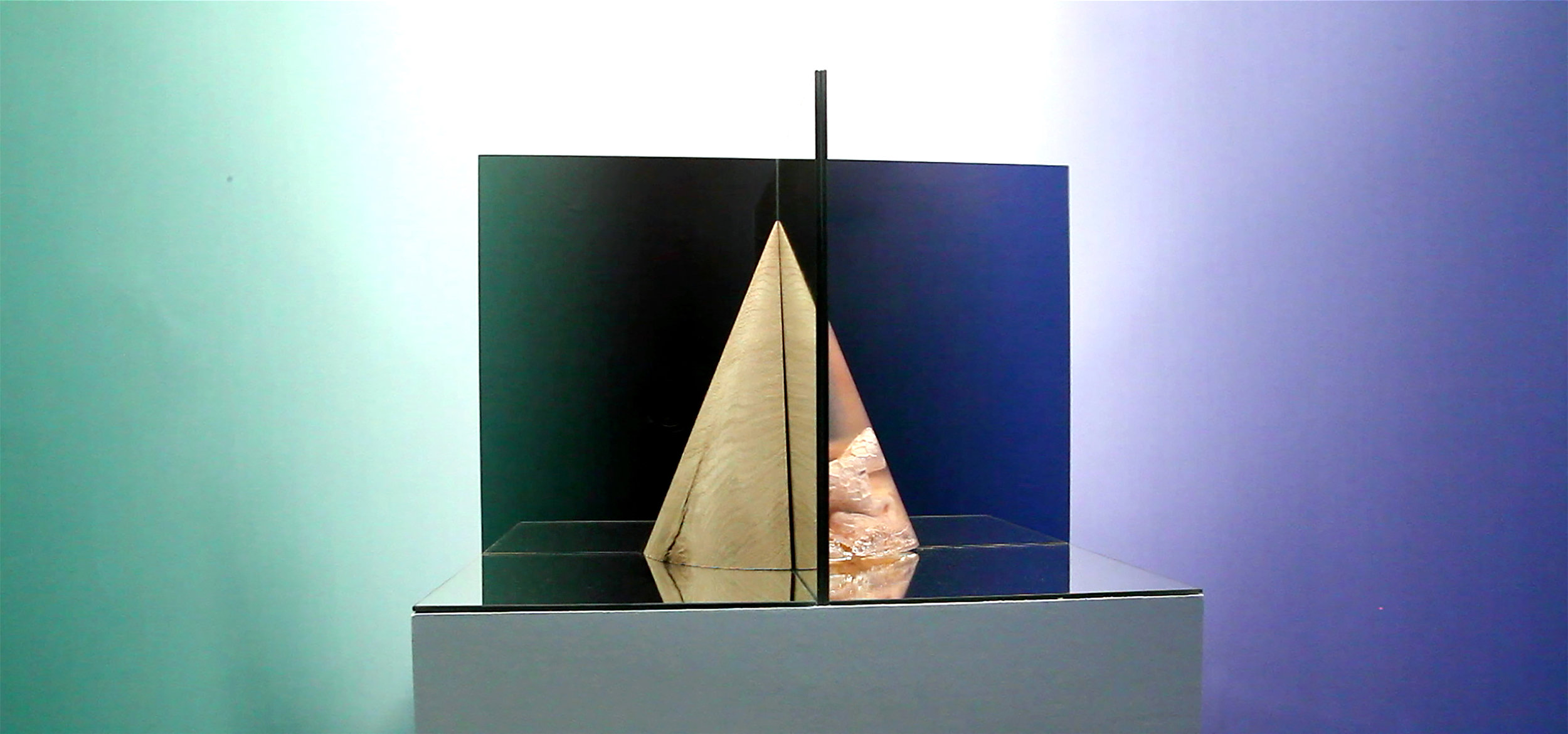  THE ARCHITECT &amp; THE EXPERTS 