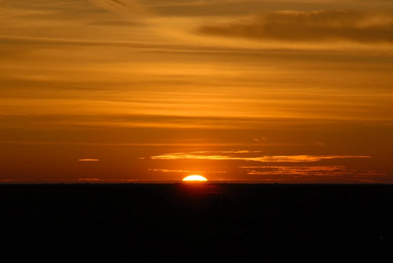 DSC_0308.JPG
