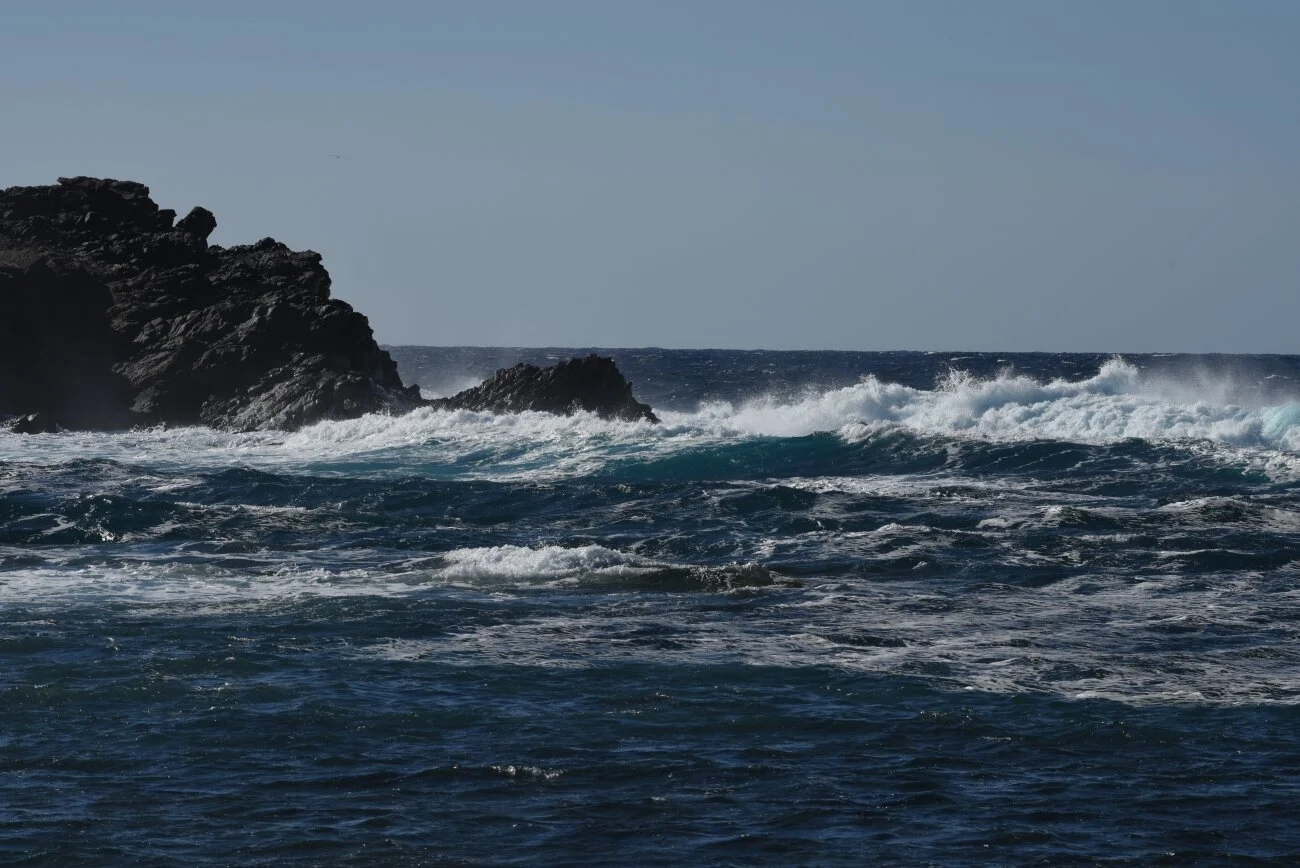 DSC_1828.JPG