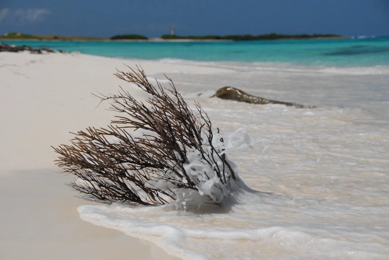 DSC_0030.JPG